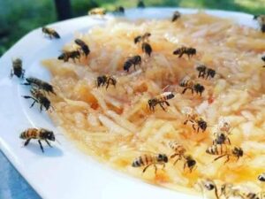 Scopri di più sull'articolo Mela grattugiata per le api, è veramente utile?