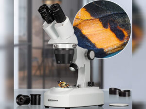 microscopio, stereomicroscopio